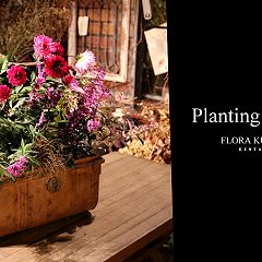 234位のイメージ