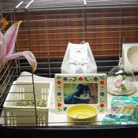 142位のイメージ