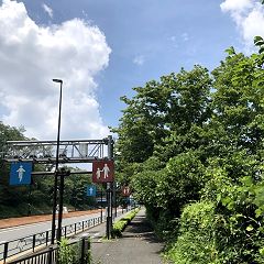 12位のイメージ