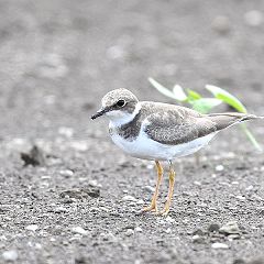 23位のイメージ