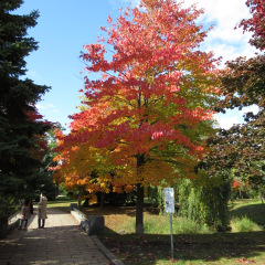 44位のイメージ