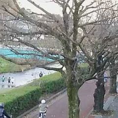 38位のイメージ