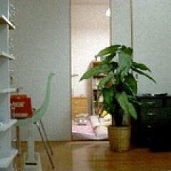 40位のイメージ