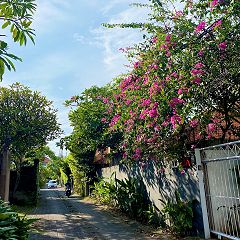 151位のイメージ