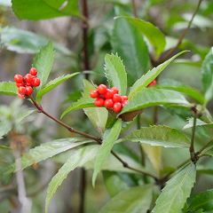 10位のイメージ