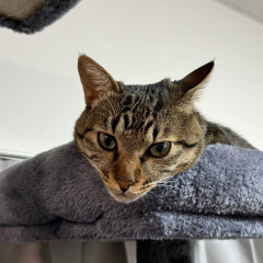 43位のイメージ