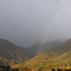 297位のイメージ