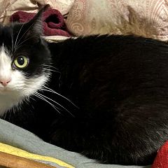 29位のイメージ