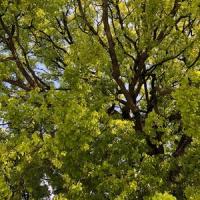 202位のイメージ