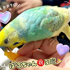 10位のイメージ