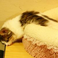 30位のイメージ