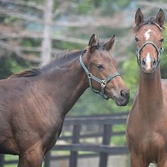 195位のイメージ