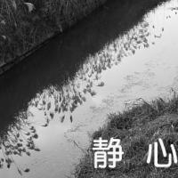 100位のイメージ