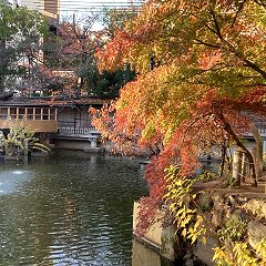 35位のイメージ