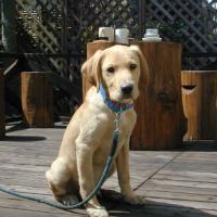 25位のイメージ