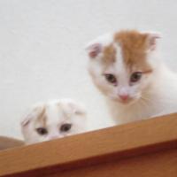 12位のイメージ