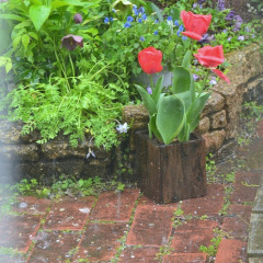 210位のイメージ