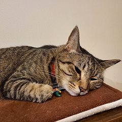 29位のイメージ