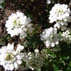 129位のイメージ