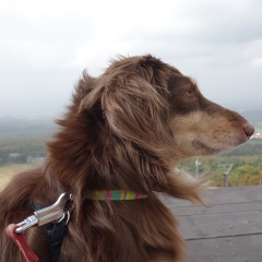 60位のイメージ