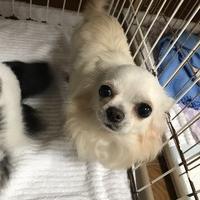 109位のイメージ