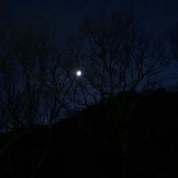 46位のイメージ