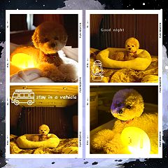 11位のイメージ