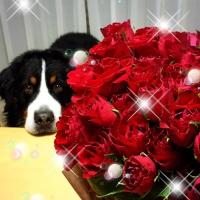 168位のイメージ