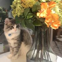 305位のイメージ