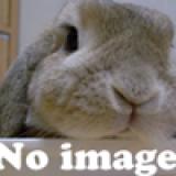 215位のイメージ