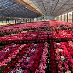 164位のイメージ