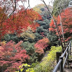 46位のイメージ