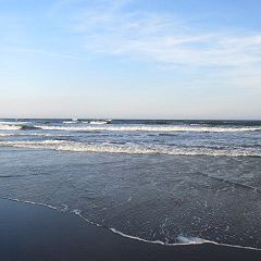 172位のイメージ