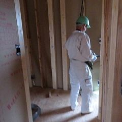 81位のイメージ