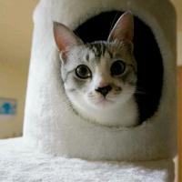 613位のイメージ