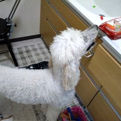 53位のイメージ