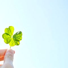 167位のイメージ