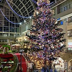 22位のイメージ