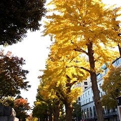 149位のイメージ