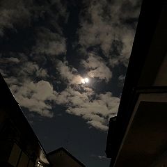 139位のイメージ