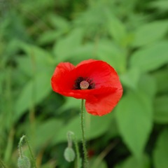 11位のイメージ