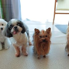 75位のイメージ