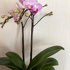 68位のイメージ