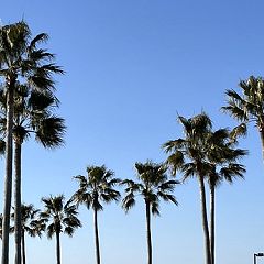 82位のイメージ