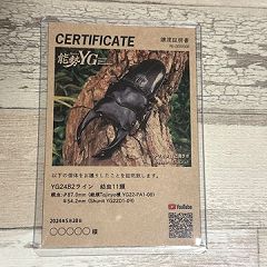 29位のイメージ