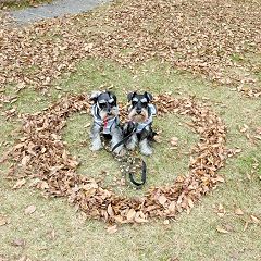 131位のイメージ