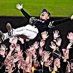 222位のイメージ