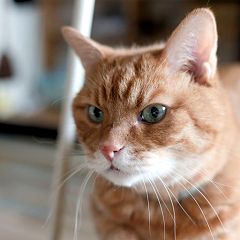 118位のイメージ