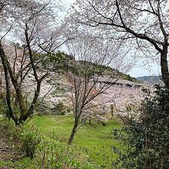 137位のイメージ