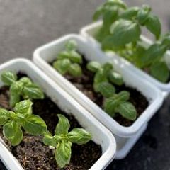 36位のイメージ